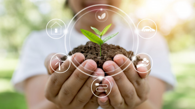 Sustainability Management 